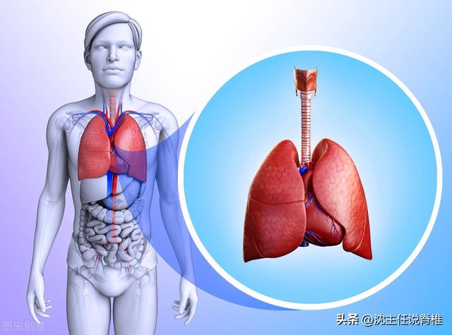 什么是腹式呼吸的正确方法，腹式呼吸的正确方法是什么（腹式呼吸和胸式呼吸）
